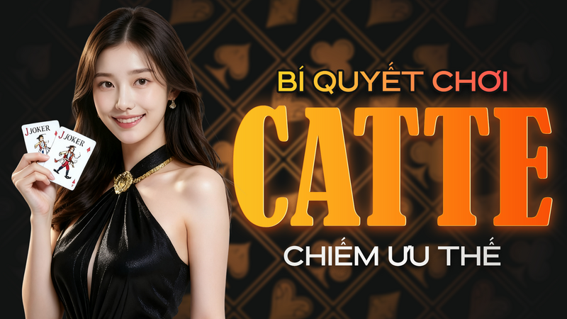 Cẩm nang chơi Catte từ cơ bản đến nâng cao
