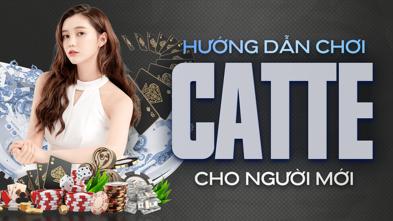Hướng dẫn chơi Catte chi tiết cho người mới
